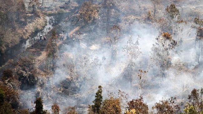 Harta Karun Kerajaan Sriwijaya Bermunculan di Lahan Karhutla