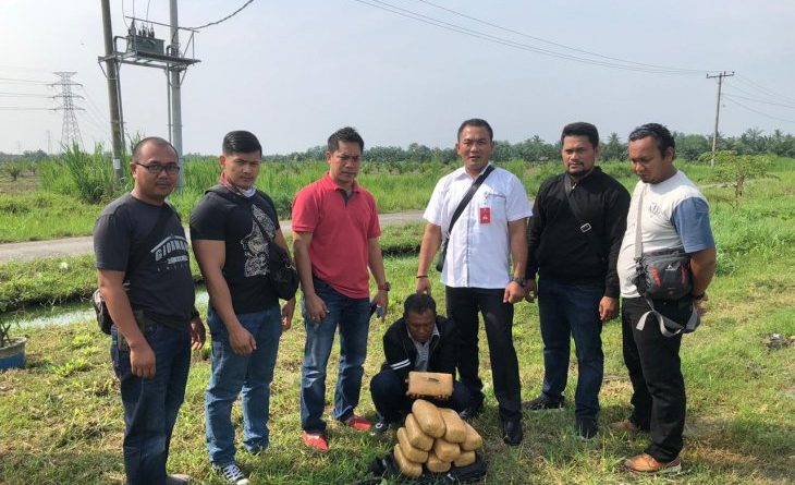 Pria Asal Aceh Tamiang Ketahuan Bawa 10 Bal Ganja Kering