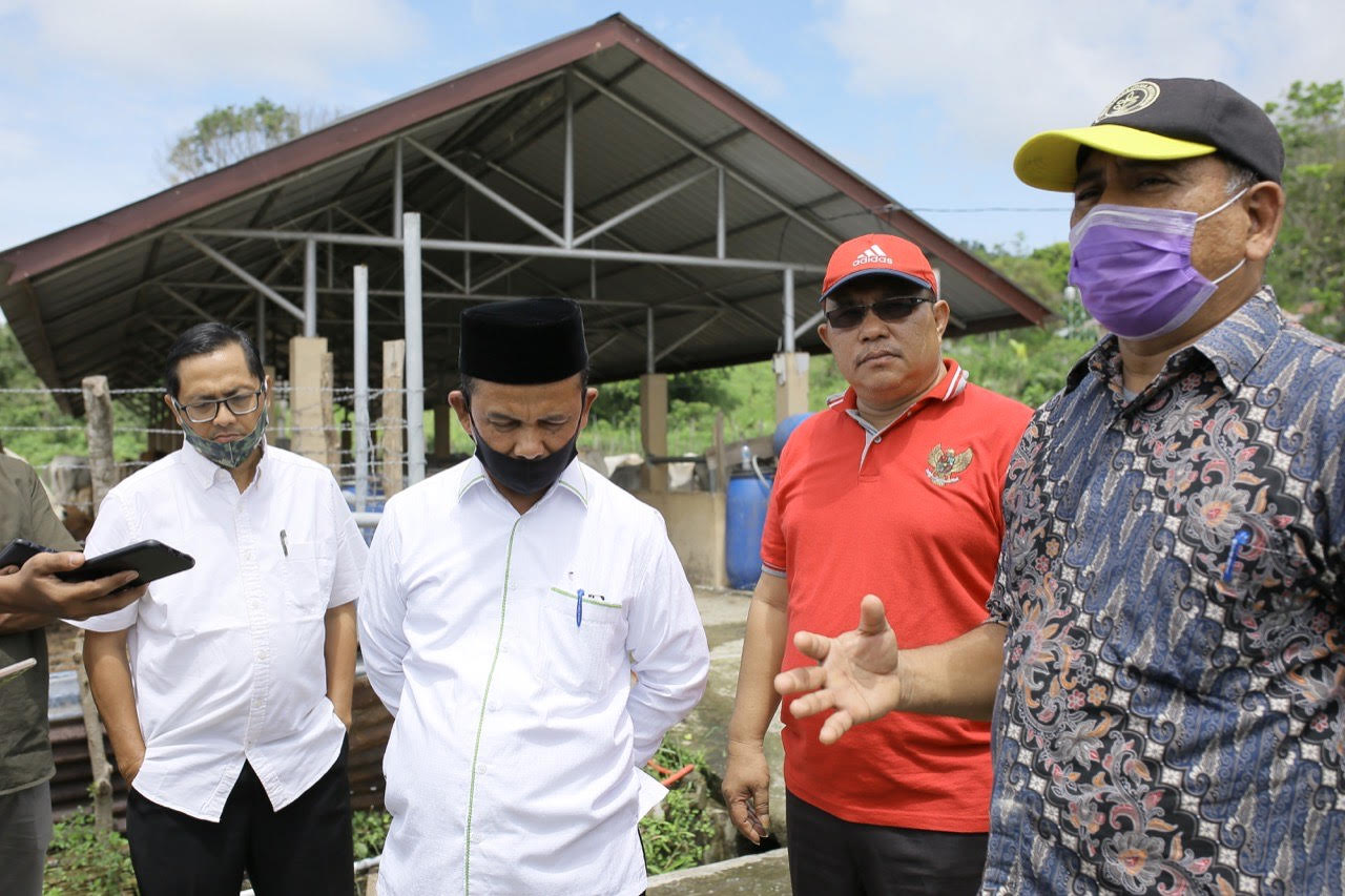 Kadis Peternakan Aceh Janji Akan Perbaiki Sapi Karantina Kurus Dalam Dua Bulan