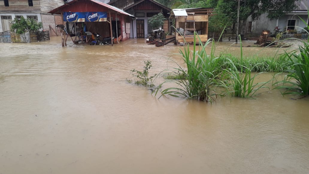 Ratusan Rumah di Aceh Selatan Tergenang Banjir